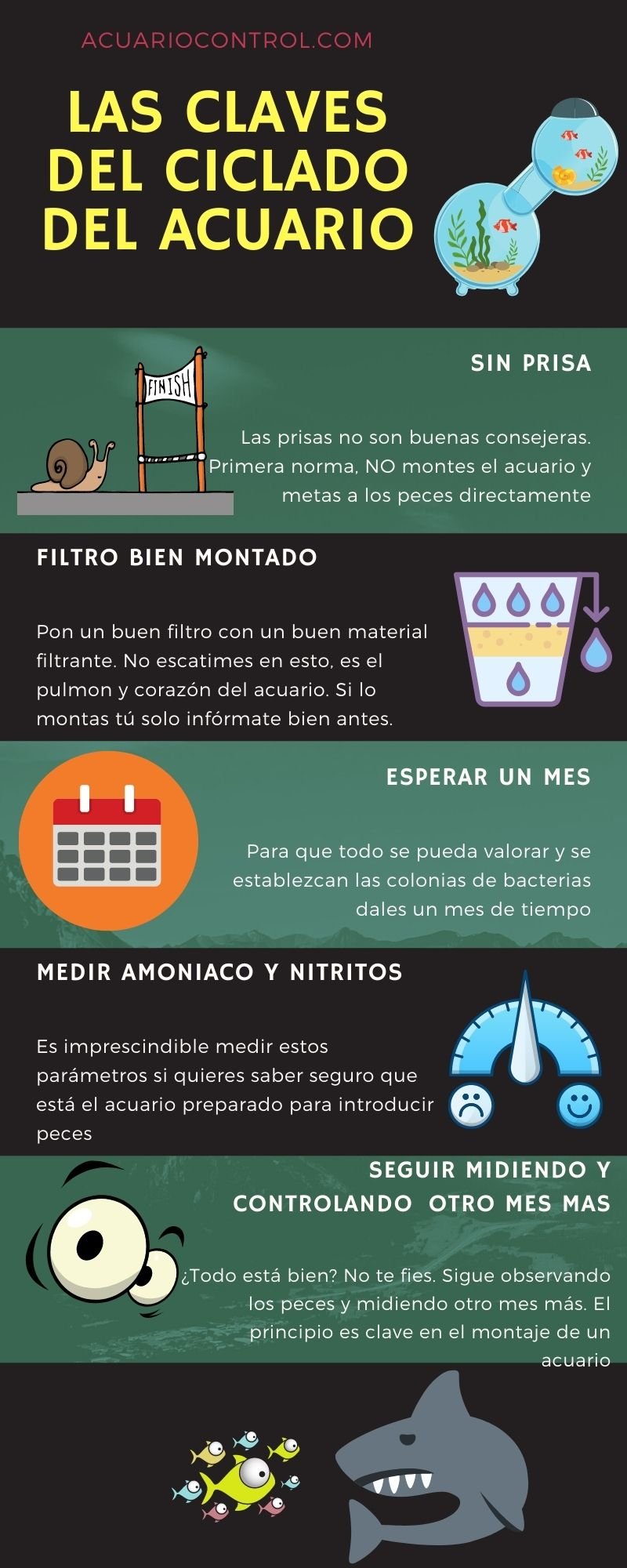 Las claves del ciclado del acuario