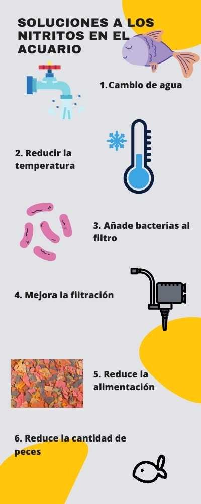 Solución a los nitritos en el acuario